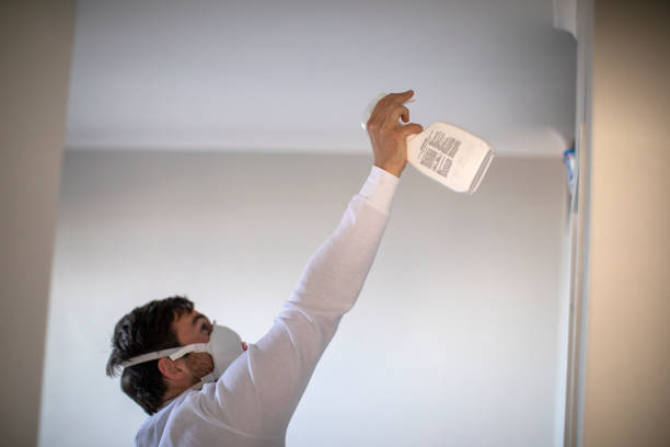 Best Toxic Mold Removal  in Cedar Ridge, CA