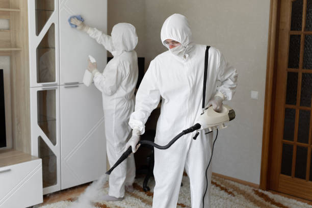 Best Mold Damage Repair  in Cedar Ridge, CA