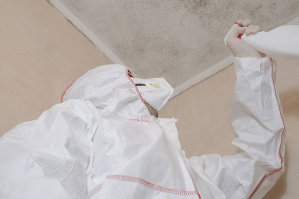 Best Mold Cleaning Services  in Cedar Ridge, CA