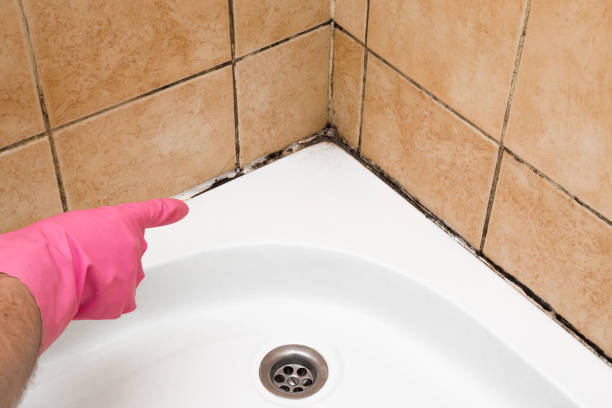 Best Mold Cleaning Services  in Cedar Ridge, CA